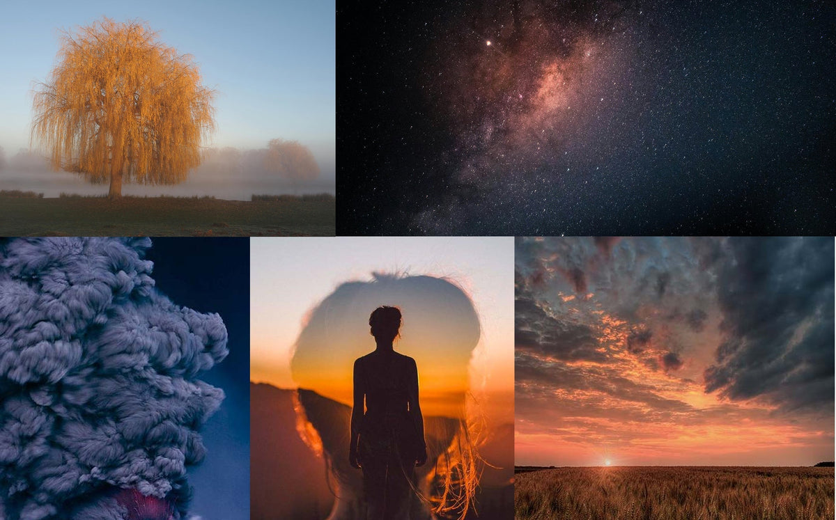 The Fall 2026 Color Story